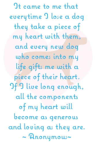 quote about dogs